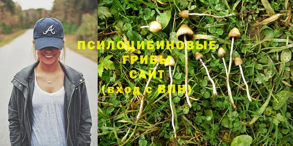 скорость Алзамай