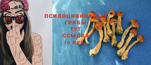 скорость Алзамай