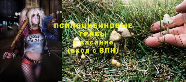 наркотики Алексин