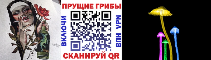 где продают наркотики  Тобольск  Псилоцибиновые грибы Psilocybine cubensis 